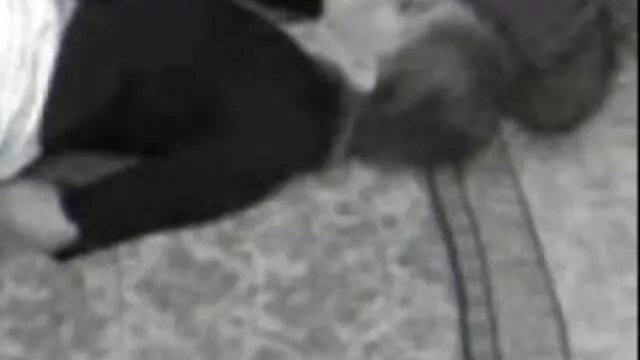 かわいいでしたタイトで肛門 クン 二 エロ 動画
