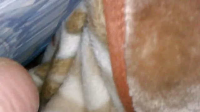 その息子、娘とそれをすべて終了します 無料 女性 専用 アダルト