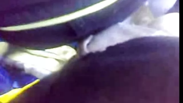 馬のメンバーと美味しい女の子 エロ 女 動画